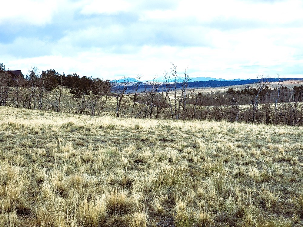 542 Thick Spike Road Fairplay, CO 80440 - Photo 17 of 33 a view of a lake from a yard