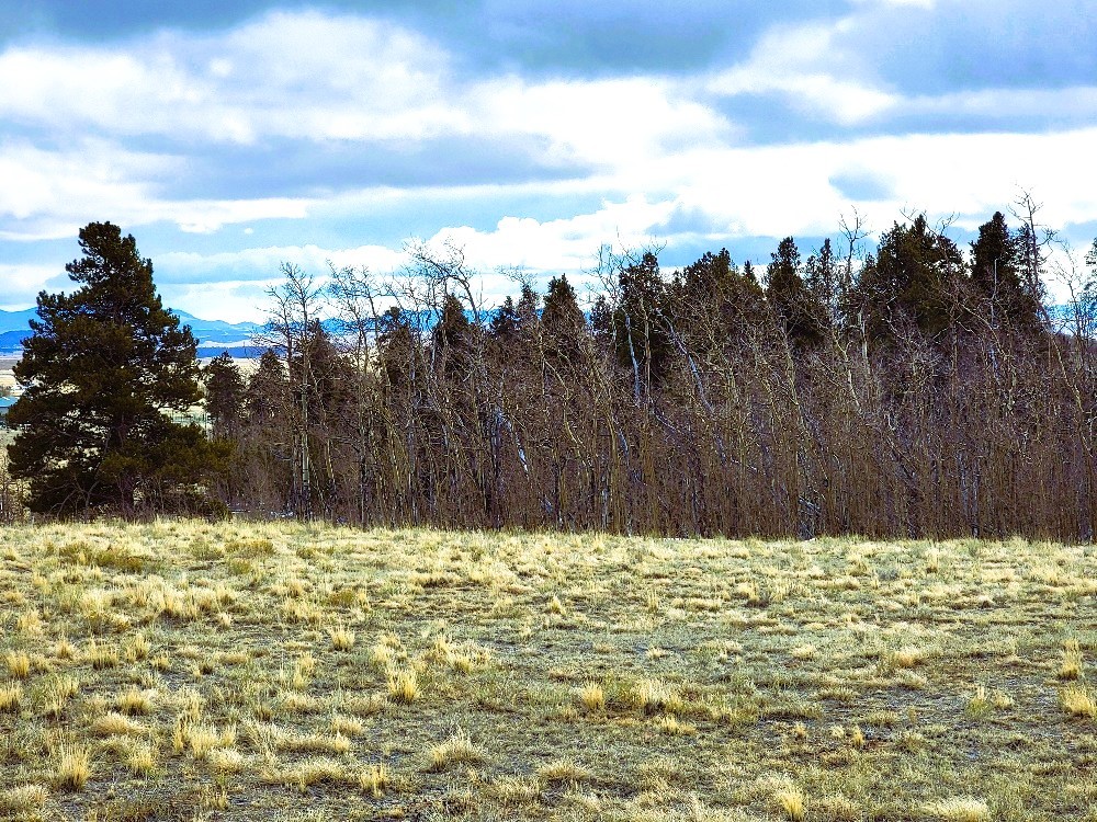 542 Thick Spike Road Fairplay, CO 80440 - Photo 30 of 33