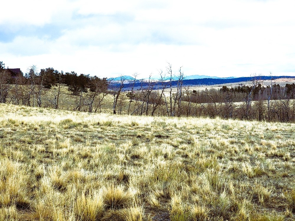 542 Thick Spike Road Fairplay, CO 80440 - Photo 31 of 33 a view of lake view and mountain