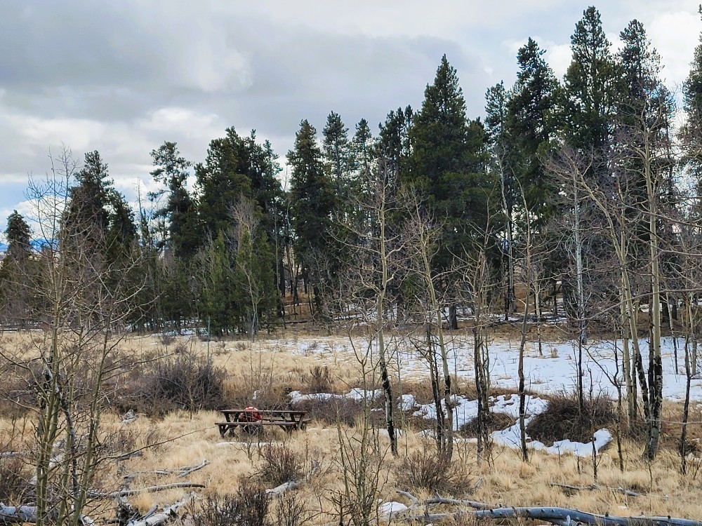 542 Thick Spike Road Fairplay, CO 80440 - Photo 33 of 33 a view of a lake view