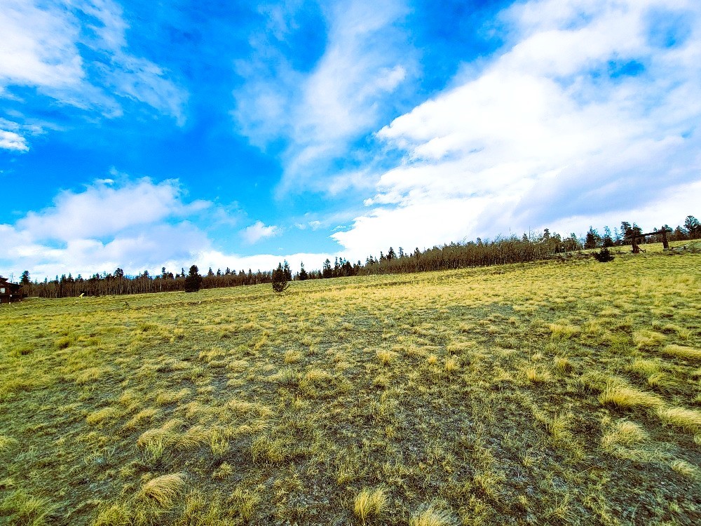 542 Thick Spike Road Fairplay, CO 80440 - Photo 4 of 33 a view of an ocean