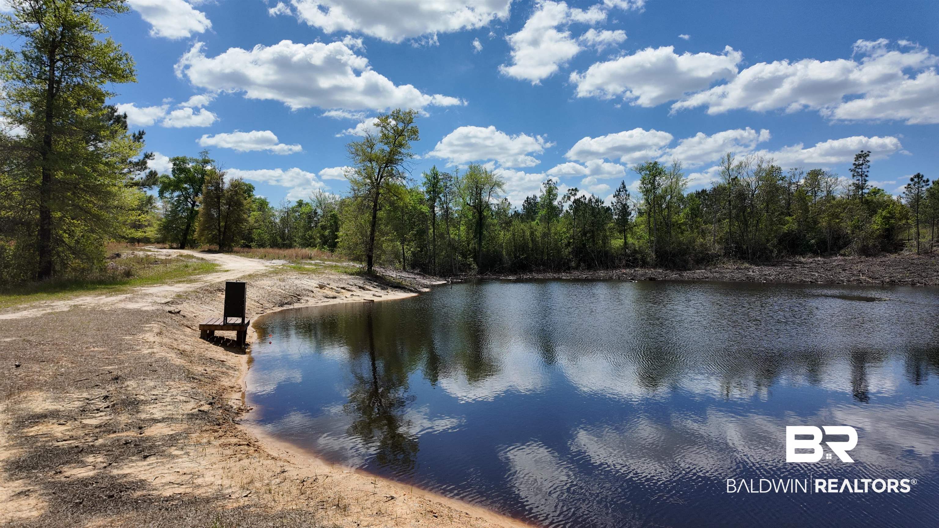 0 Powell Road Eight Mile, AL 36613 - Photo 46 of 57
