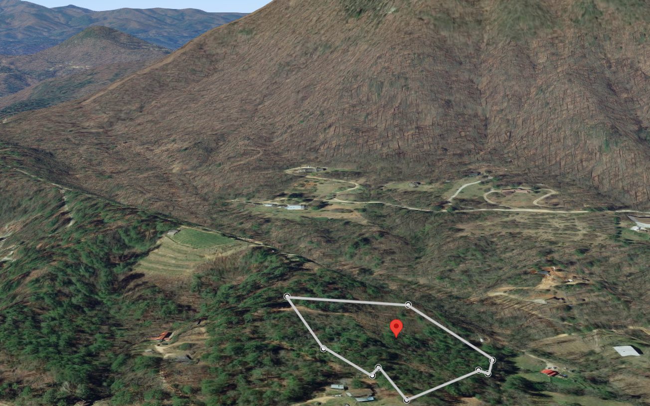 Additional View