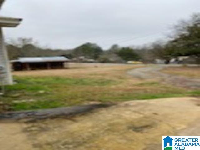 470 Fish Trap Road Cropwell, AL 35054 - Photo 32 of 37