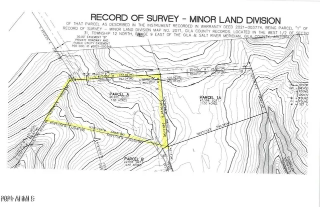 a view of a yard with plants and trees