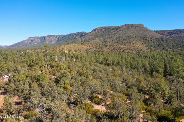 a view of a patio with couches table and chairs under an umbrella with large trees