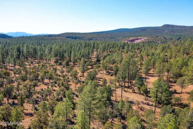 a street view with tall buildings and a yard