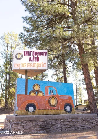 a view of a tree with a yard