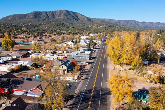 a view of a yard with trees