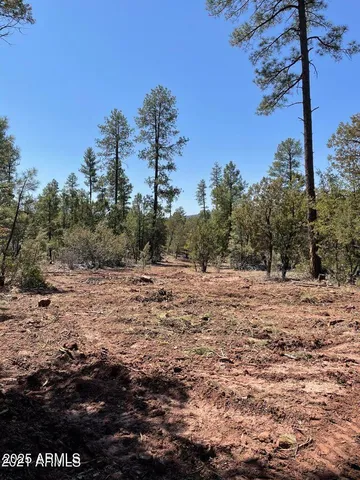 $194,900 | 0 Fawn Drive, Unit 5, Pine, AZ 85544