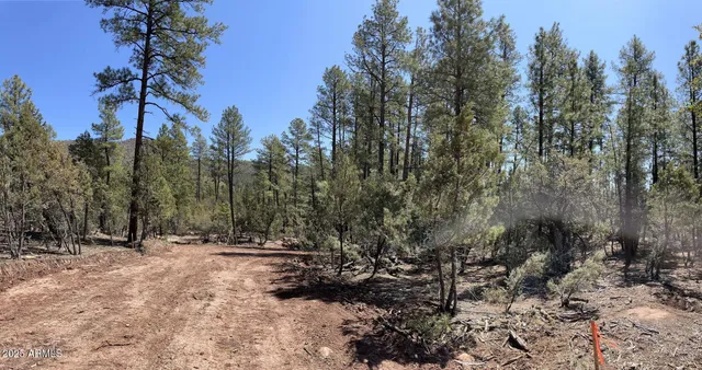 $194,900 | 0 Fawn Drive, Unit 5, Pine, AZ 85544