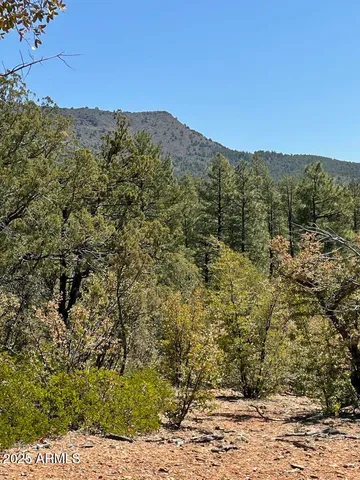 $194,900 | 0 Fawn Drive, Unit 5, Pine, AZ 85544