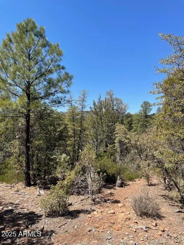 $194,900 | 0 Fawn Drive, Unit 5, Pine, AZ 85544