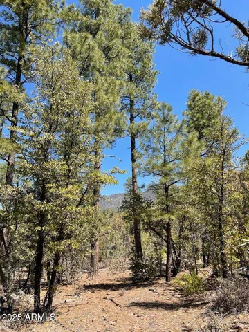 $194,900 | 0 Fawn Drive, Unit 5, Pine, AZ 85544