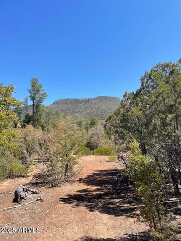 $194,900 | 0 Fawn Drive, Unit 5, Pine, AZ 85544