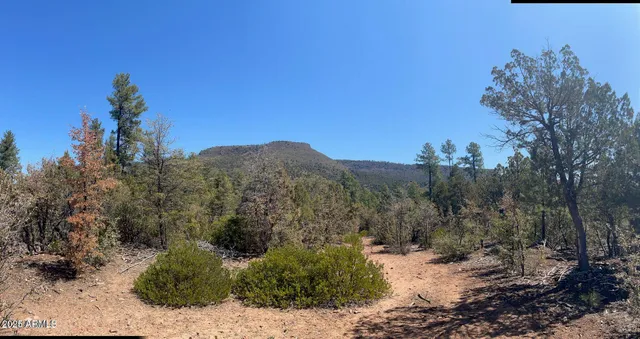 $194,900 | 0 Fawn Drive, Unit 5, Pine, AZ 85544