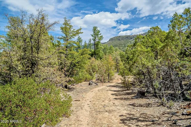 a view of a mountain in the distance in a field