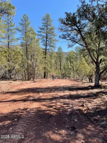 $194,900 | 0 Fawn Drive, Unit 5, Pine, AZ 85544