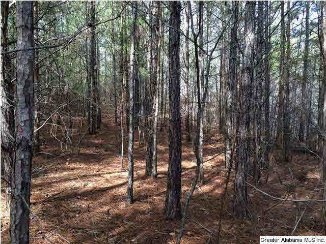 734 Valley Grove Road, Unit 15 4 ACR Remlap, AL 35133 - Photo 21 of 32