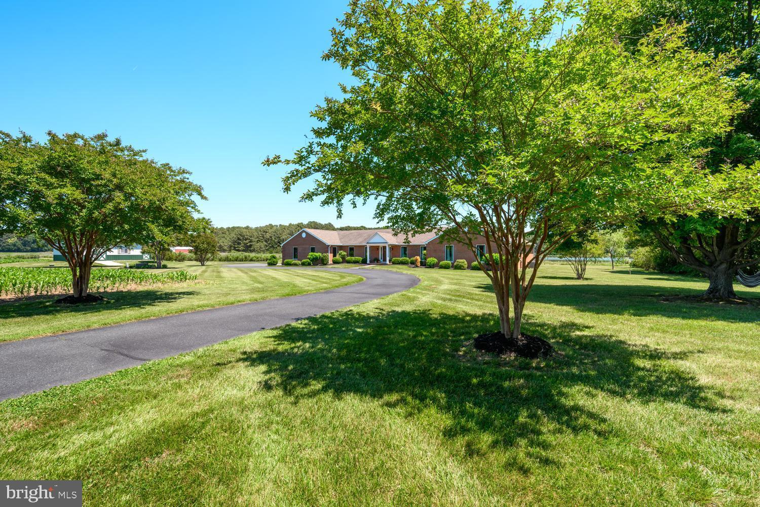 7543 Bozman Neavitt Road Bozman, MD 21612 - Photo 18 of 121