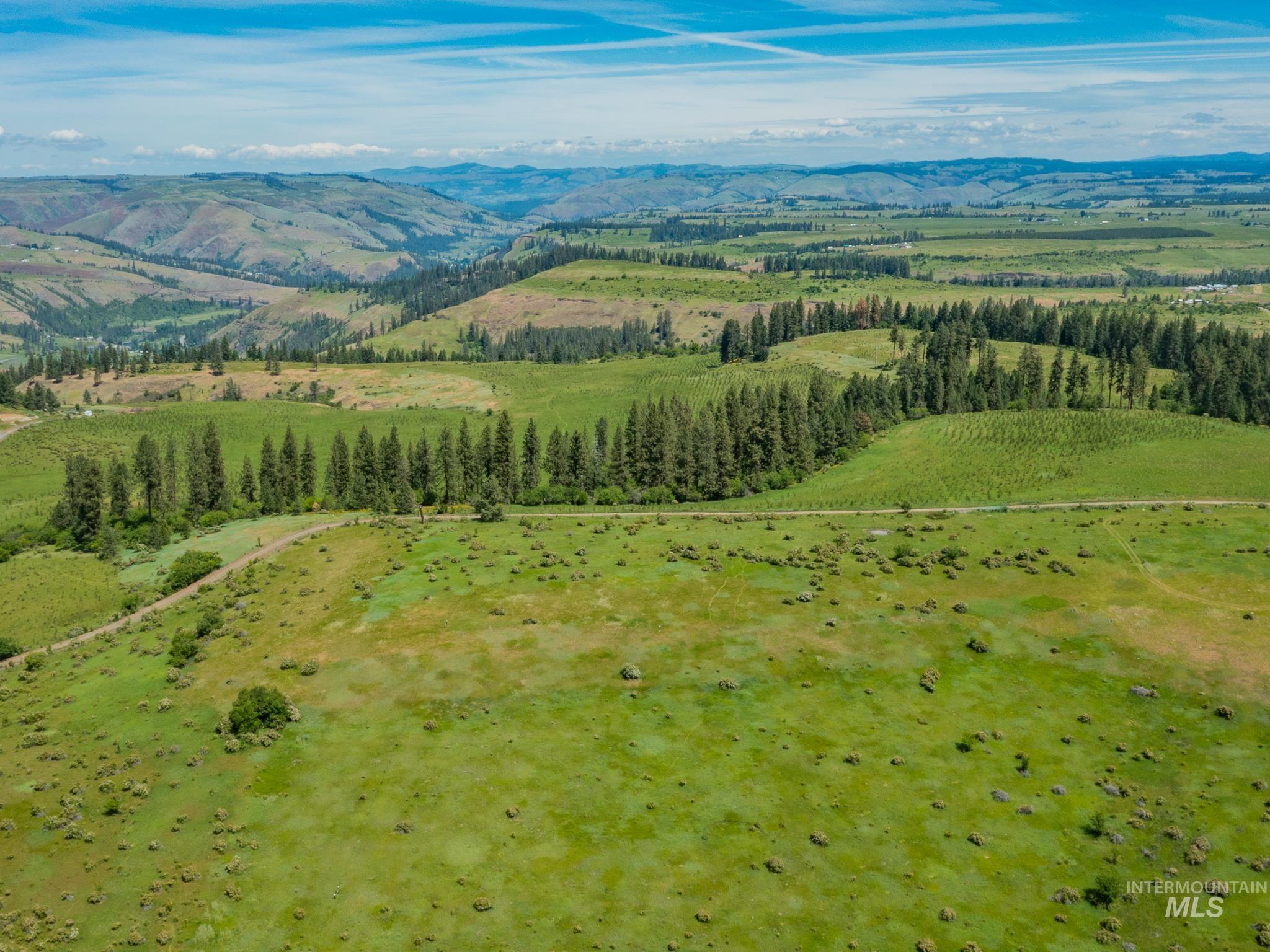 Tbd Brotnov Road Stites, ID 83552 - Photo 14 of 28