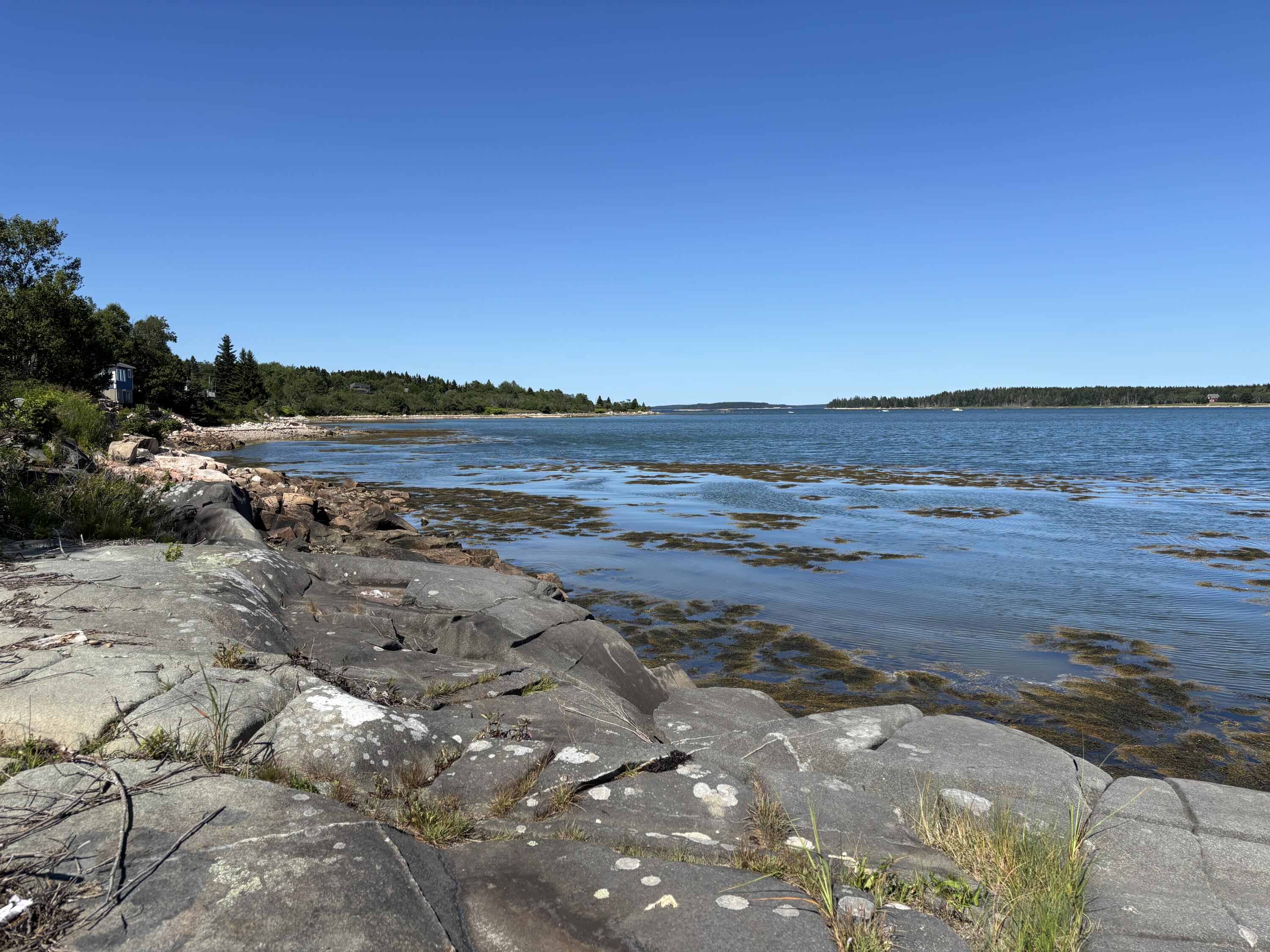 1056 Pigeon Hill Road Steuben, ME 04680 - Photo 29 of 40 IMG_6532