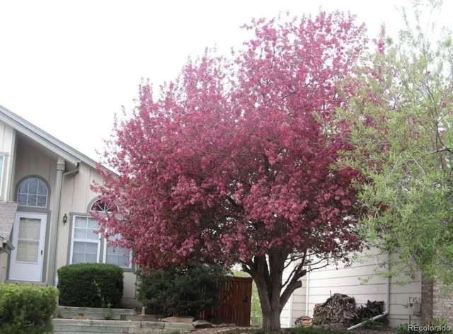 $2,850 | 9533 Devonshire Place, Highlands Ranch, CO 80126