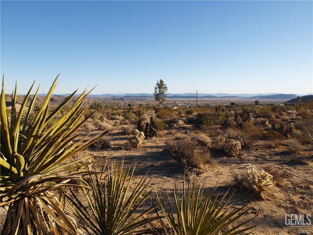 7275 Saddleback Road Joshua Tree, CA 92252 - Photo 1 of 1 Gallery Image 1