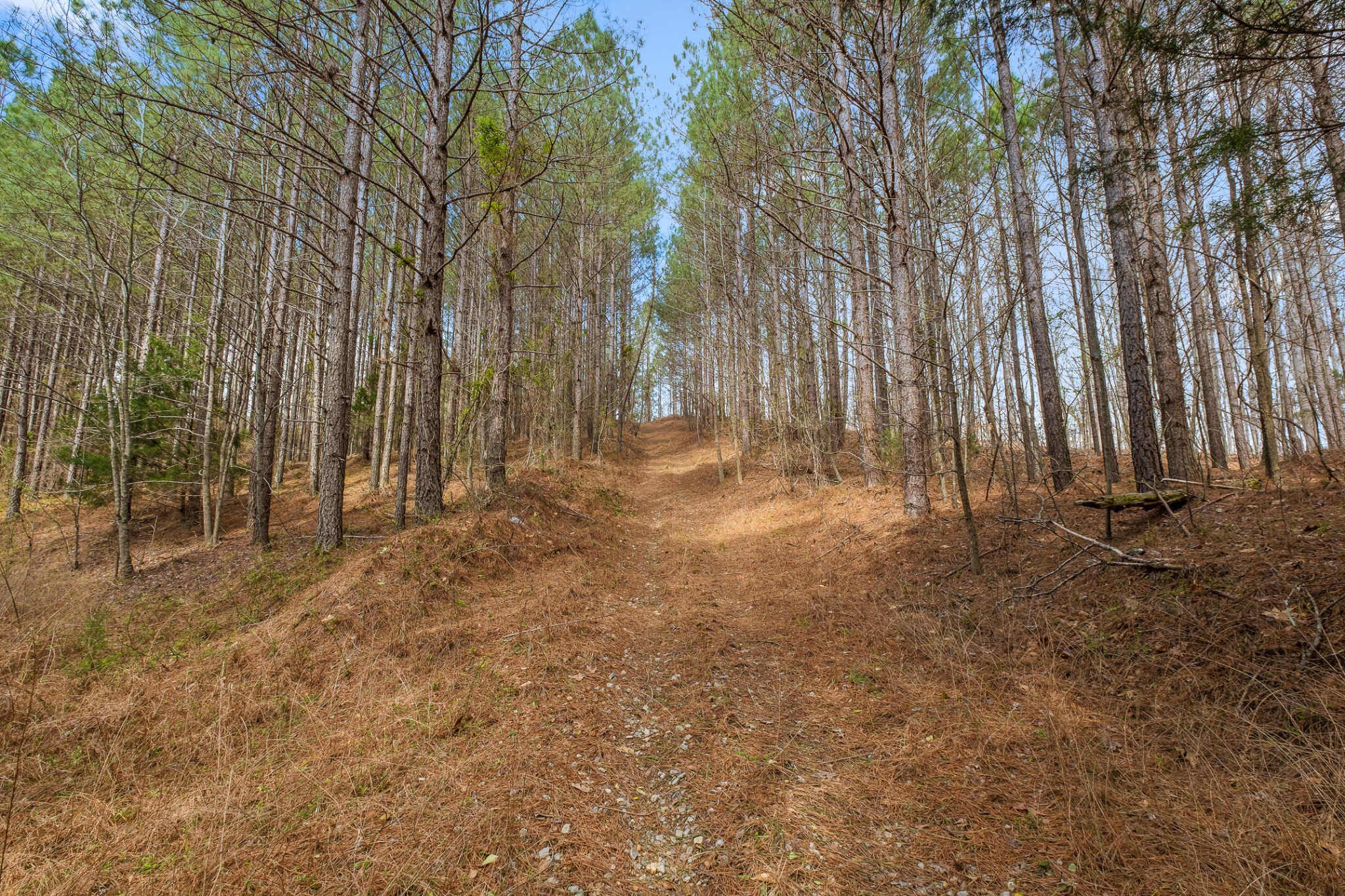 2041 Plank Road Decatur, TN 37322 - Photo 33 of 36 Gallery Image 33