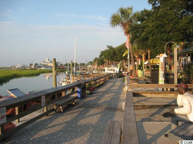 Lot 15 Grey Moss Road Murrells Inlet, SC 29576 - Photo 10 of 15 Gallery Image 10