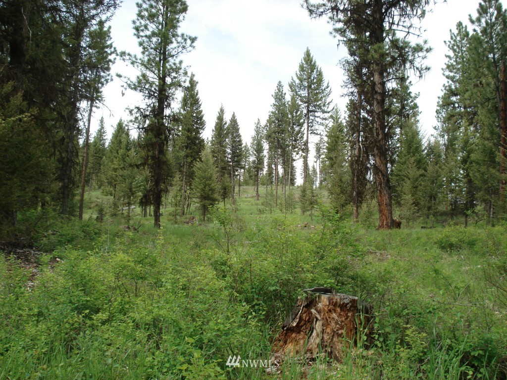 -tbd Tbd Starvation Ridge Road Republic, WA 99166 - Photo 1 of 1