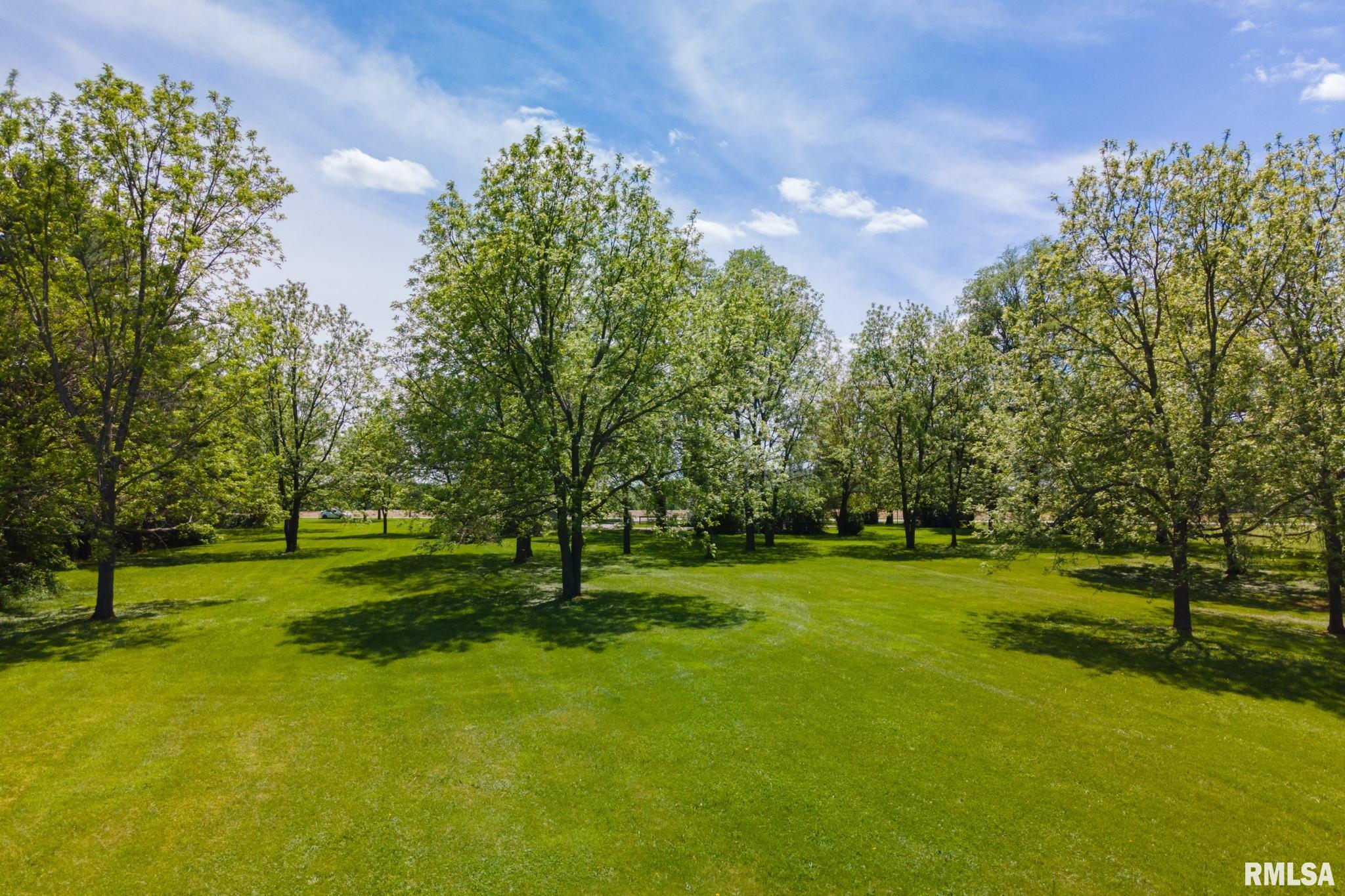 1919 Coyne Center Road Milan, IL 61264 - Photo 34 of 39 Gallery Image 34