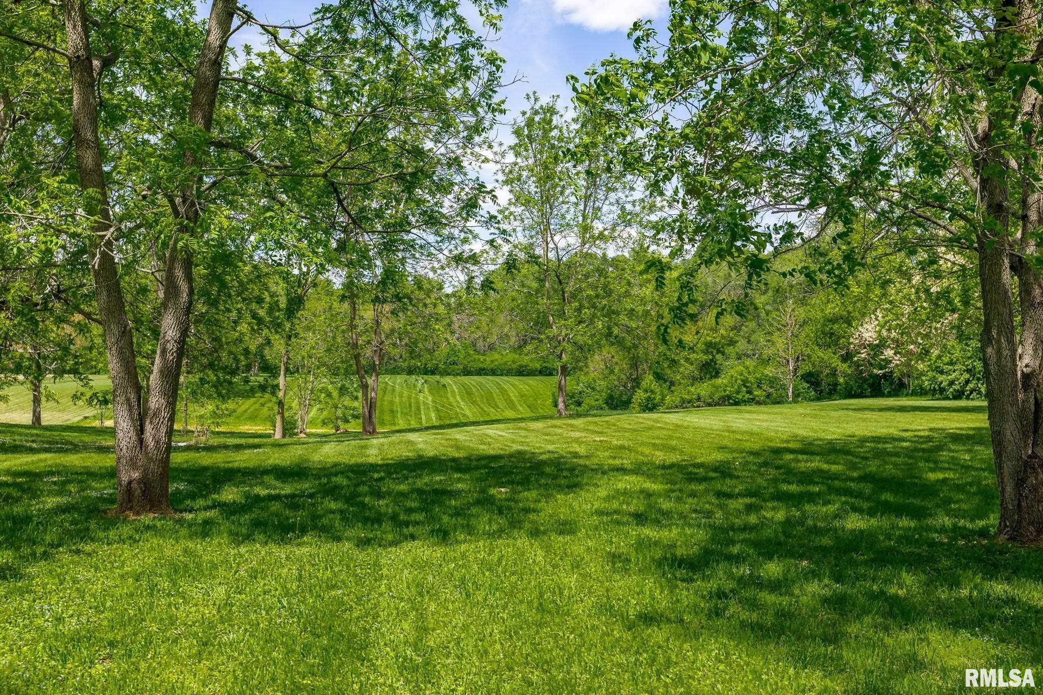 1919 Coyne Center Road Milan, IL 61264 - Photo 9 of 39 Gallery Image 9