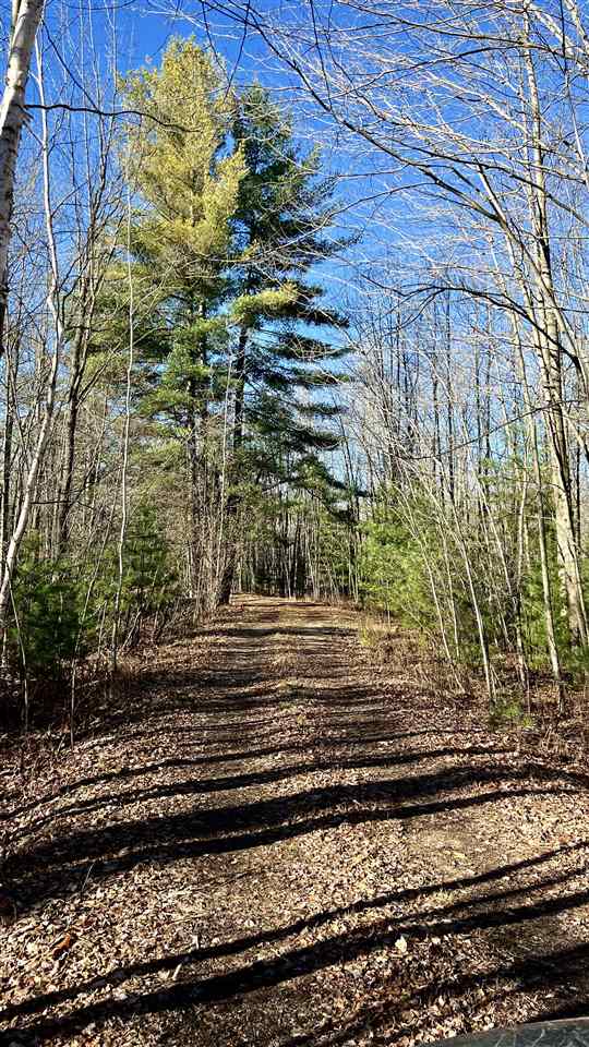 5841 Wendt Road Hope, MI 48628 - Photo 5 of 49 Gallery Image 5