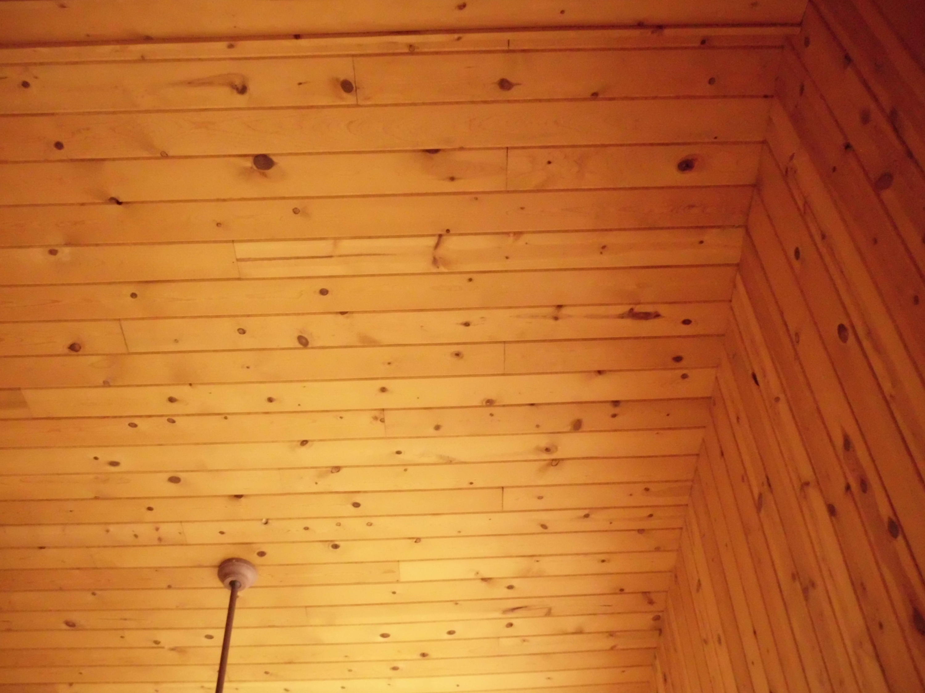 6819 Ferndale Road Knoxville, TN 37918 - Photo 11 of 18 Wood Ceiling