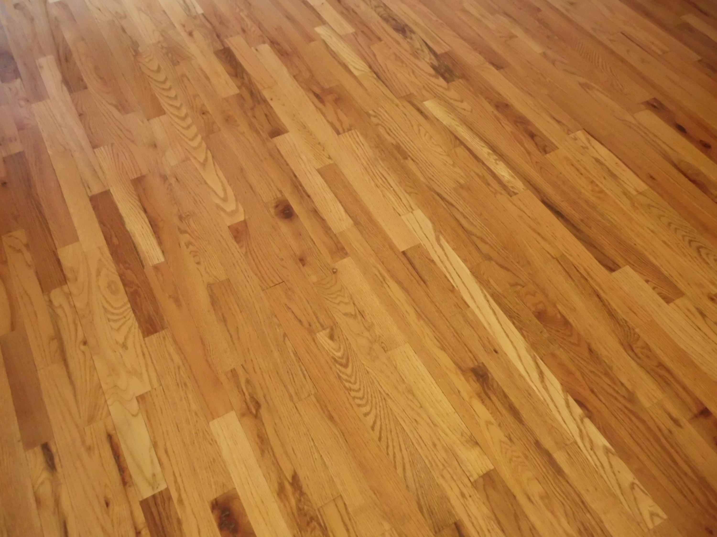 Beautiful Hardwood