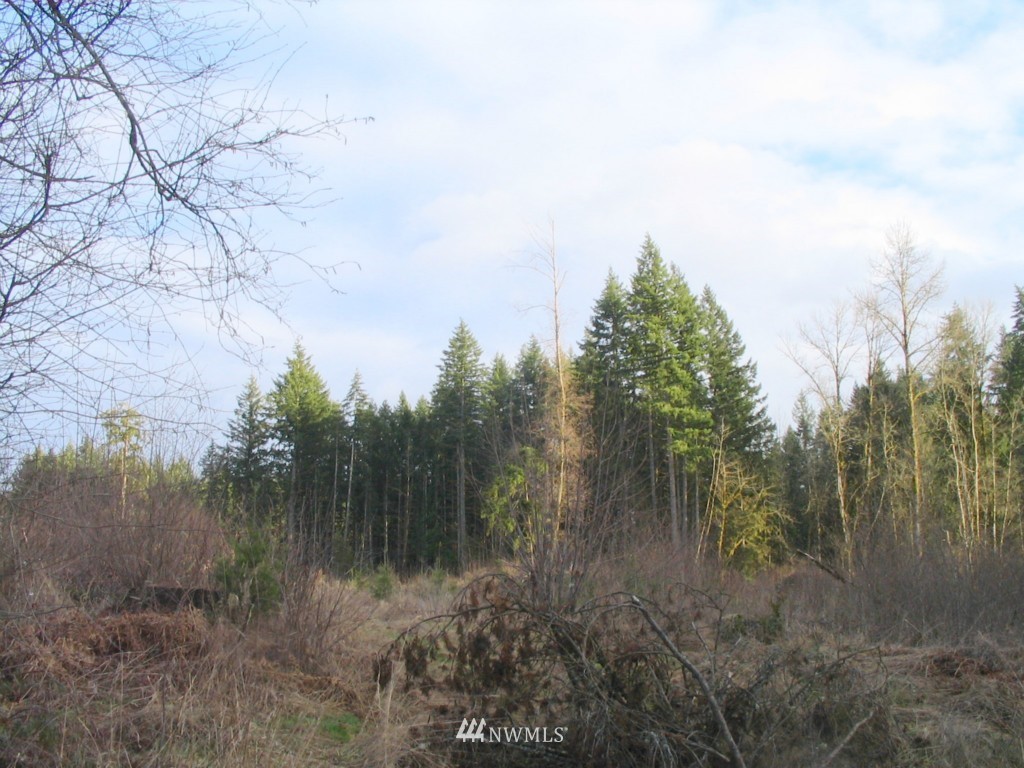 228 Rosebrook Road Chehalis, WA 98532 - Photo 1 of 1 a view of lake with green space