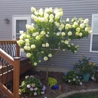 $309,900 | 2404 Treeline Drive, Bloomington, IL 61704