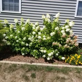 $309,900 | 2404 Treeline Drive, Bloomington, IL 61704