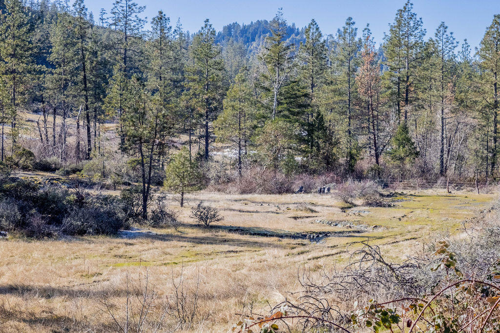 0 Waldo Road, Unit 403 Cave Junction, OR 97523 - Photo 13 of 17 a view of a backyard of a house