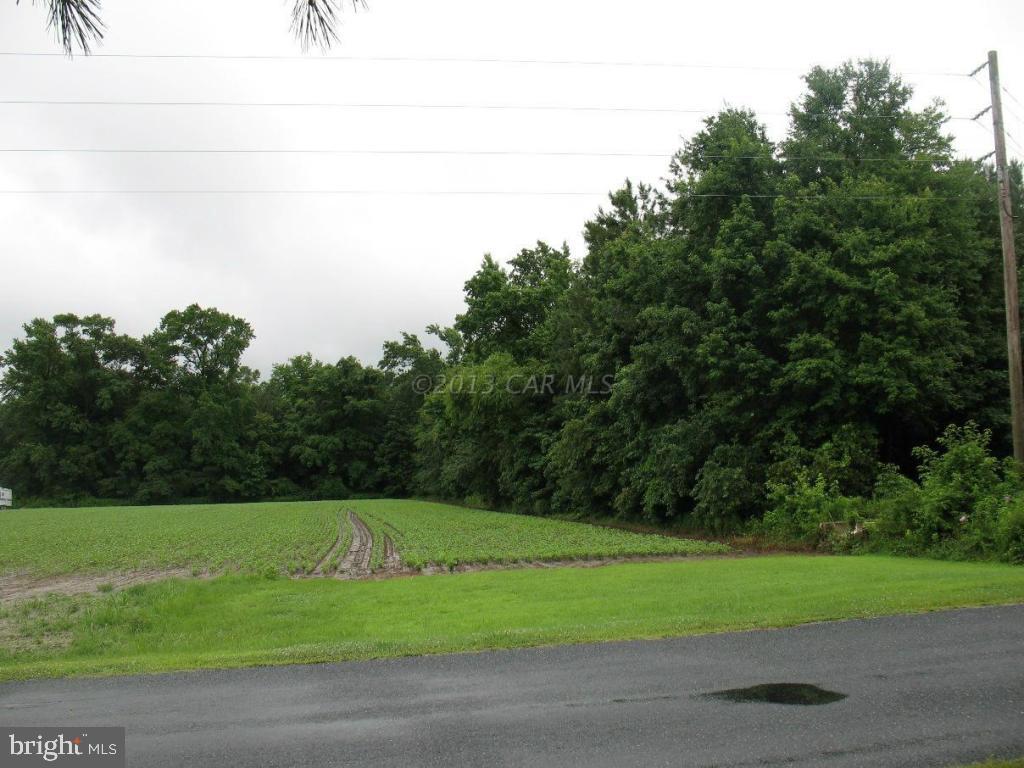 0 Harry Riggin Road Princess Anne, MD 21853 - Photo 2 of 9