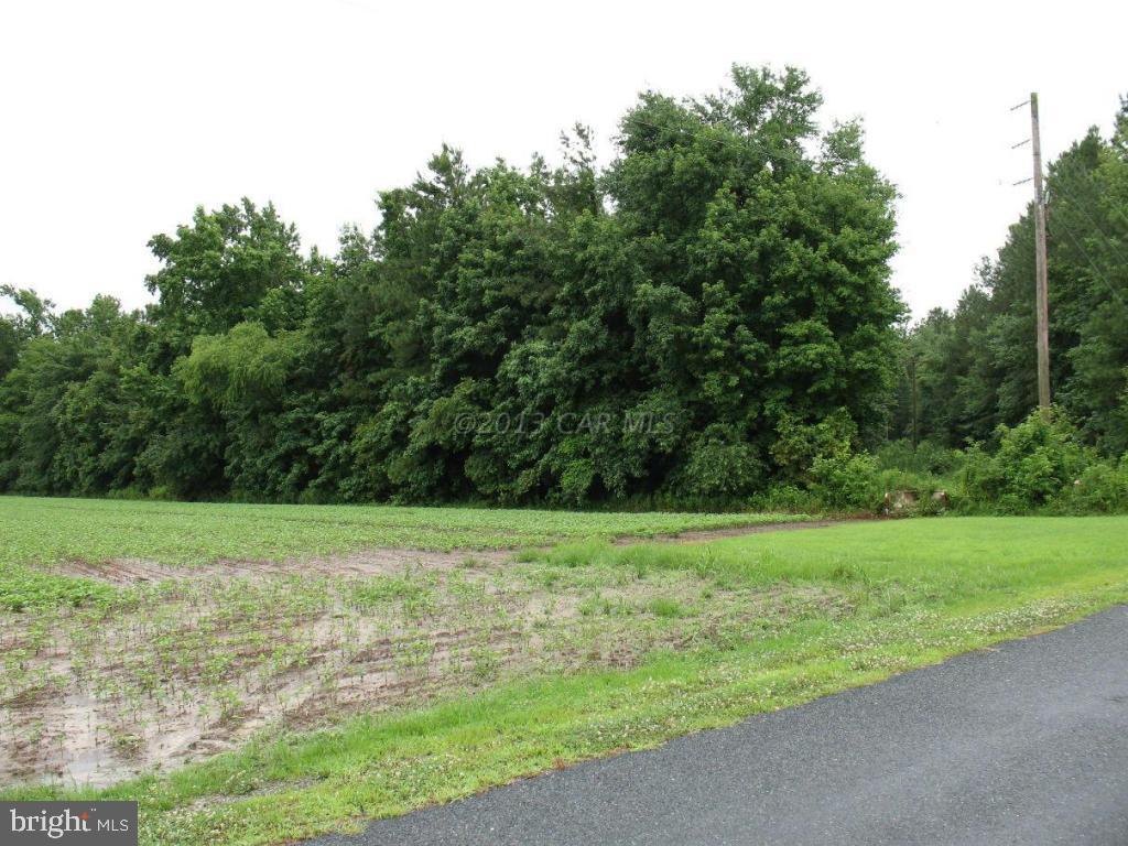 0 Harry Riggin Road Princess Anne, MD 21853 - Photo 3 of 9