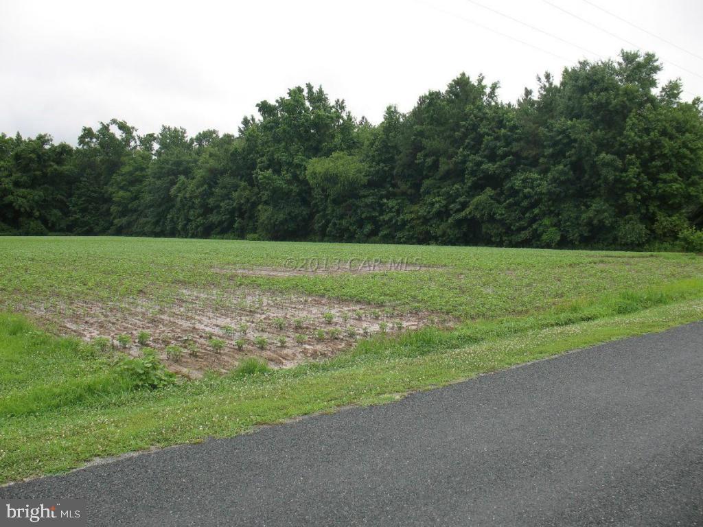 0 Harry Riggin Road Princess Anne, MD 21853 - Photo 4 of 9
