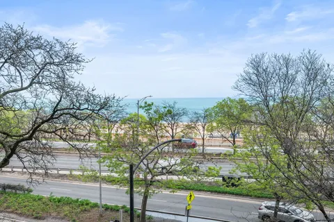 a view of a yard with plants and trees