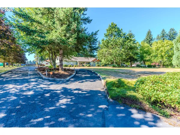 a view of yard with tree in the background