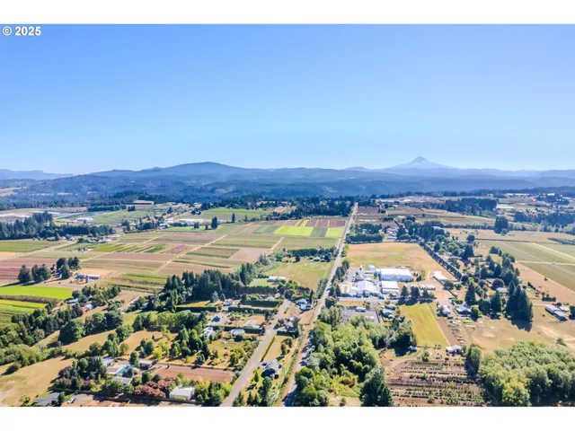 an aerial view of a house with a yard and garden