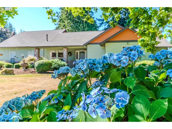 a view of a house with a yard and garden