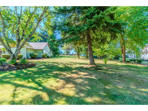 a view of a big yard with large trees