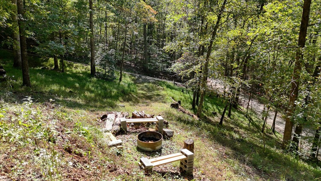 3204 Creekview Road Hiawassee, GA 30546 - Photo 36 of 45 a garden view with a seating space