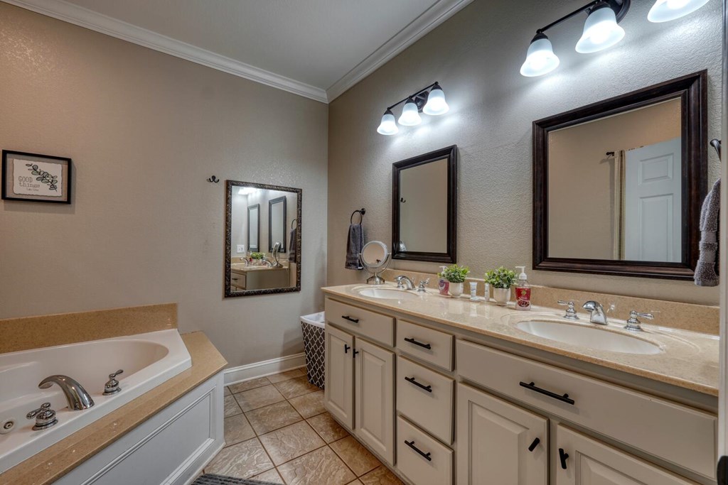 3204 Creekview Road Hiawassee, GA 30546 - Photo 9 of 45 a bathroom with a bathtub a double vanity sink and mirror